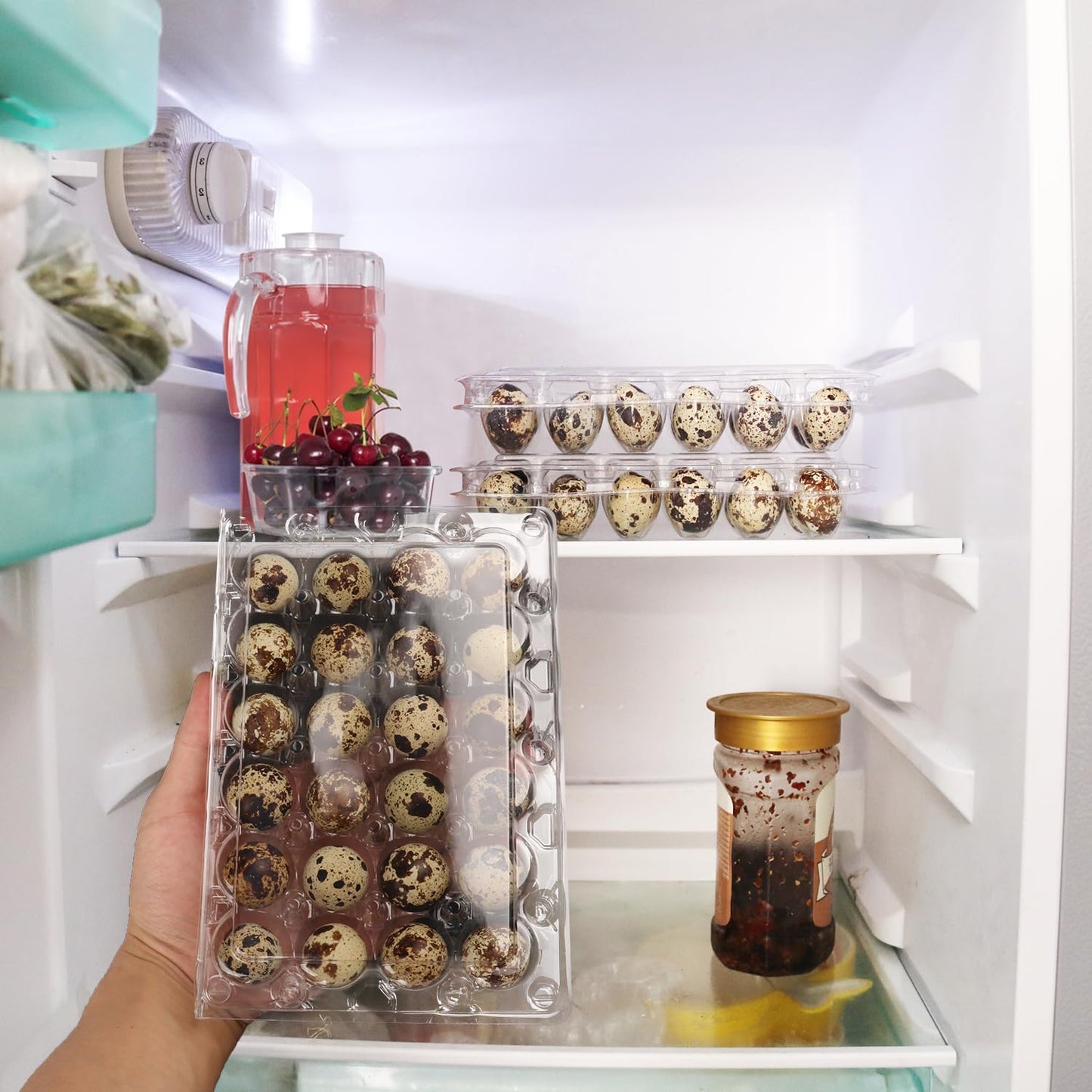 120 Pack Quail Egg Cartons - Clear Plastic Trays Hold 24 Eggs Securely, Ultimate Small Egg Holders for Bulk Storage and Display