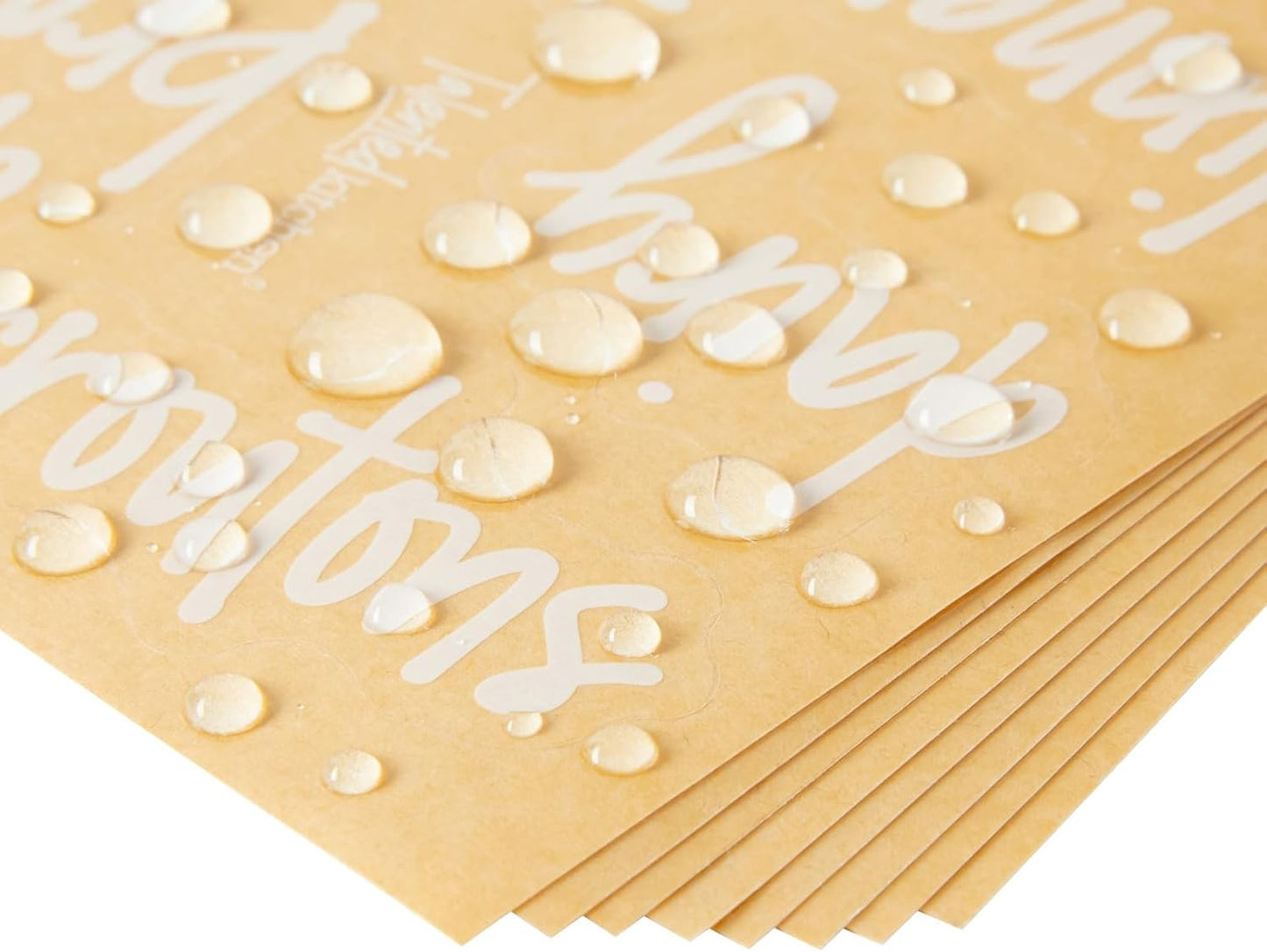 Talented Kitchen 158 White Script Kitchen Pantry Labels for Food Containers, Clear Removable Stickers for Fridge Organization, Freezer, Jar Storage