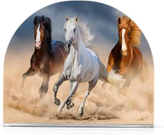 Horses Napkin Holder for Table Paper Napkins Holder Acrylic Tissue Dispenser Kitchen Dining Room Bathroom Party Car Deco