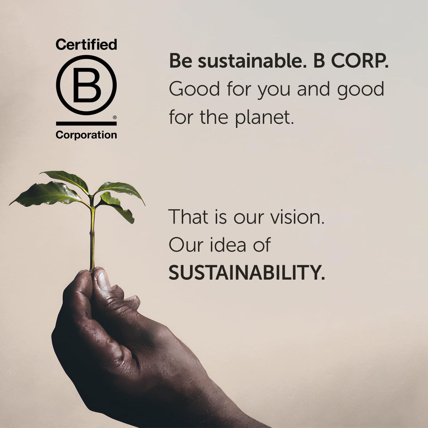 illy Whole Bean Coffee - Perfectly Roasted – Costa Rica Medium Roast - with Notes of Honey, Vanilla & Citrus - 100% Arabica Beans - No Preservatives – 8.8 Ounce