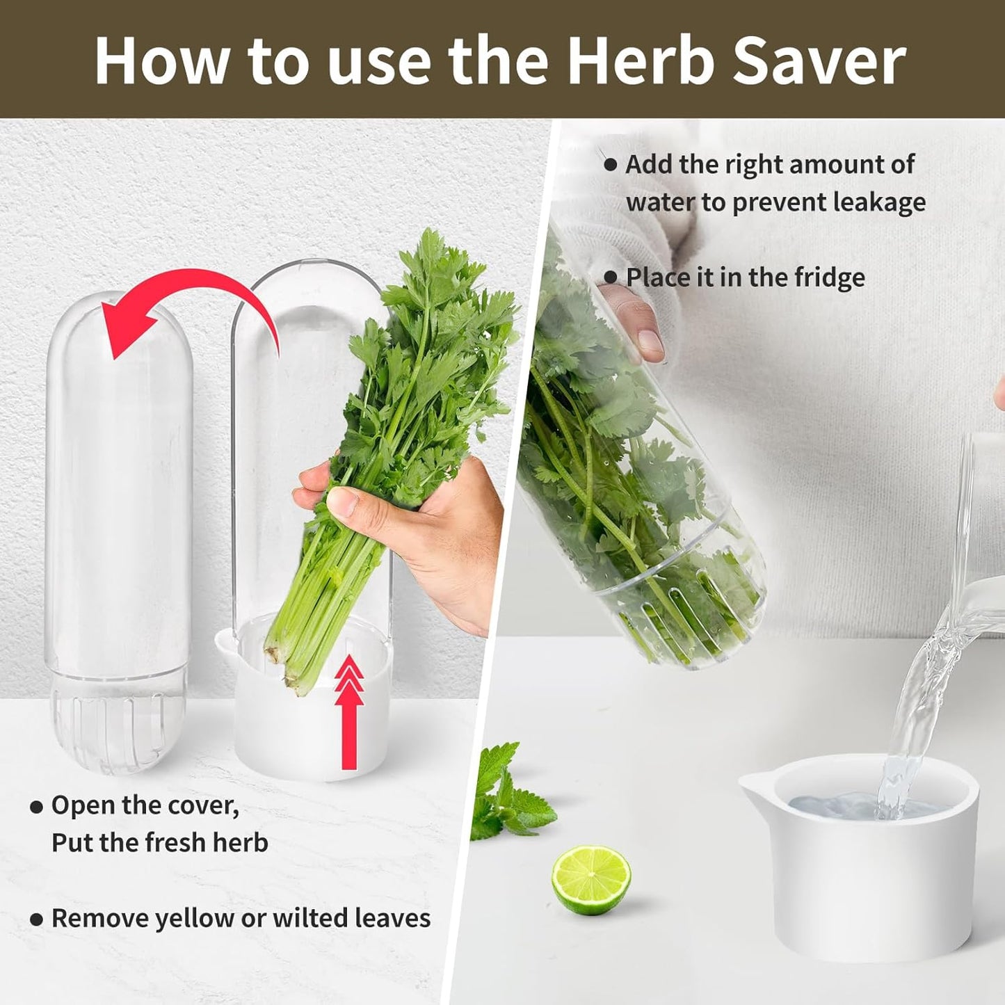 Herb Keeper for Refrigerator, Herb Saver for Refrigerator, Cilantro Container, Vegetable Preservation Bottle for Cilantro, Mint, Parsley, Asparagus, Keeps Greens Fresh for 2-3 Weeks (2PCS)