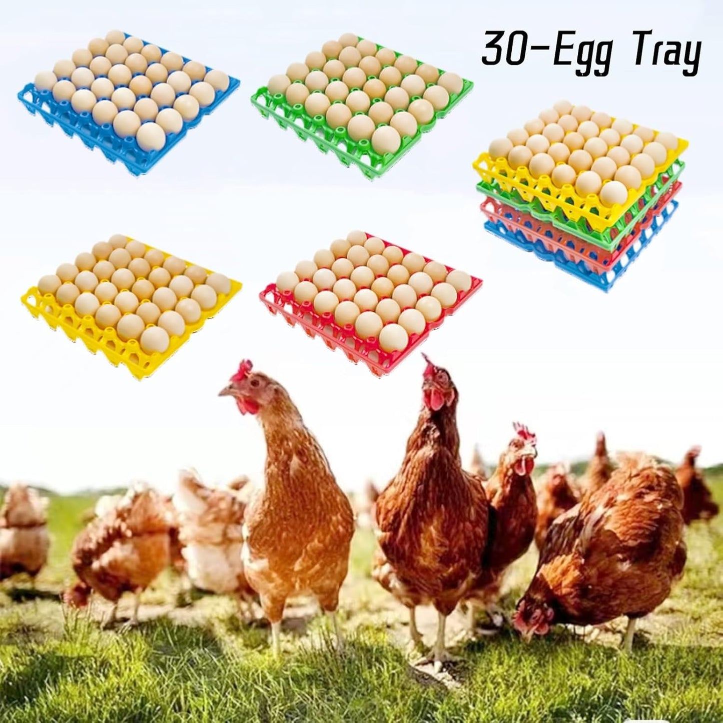 4-Pack Plastic Egg Tray Egg Crates 30-Egg Flats for Home Chicken Farmers, Stackable Egg Cartons Hold Multiple Eggs, Great for Storing, Sorting, and Shipping Eggs, Durable and Reusable (Red)