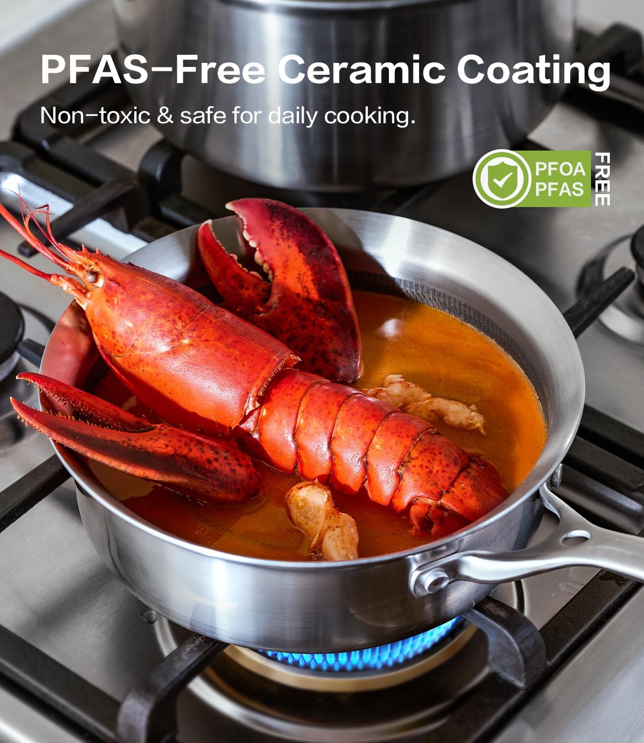 Saucepan with Lid 5-Ply Stainless Steel Sauce Pans, 3 Quart Small Pot for Sauce, Milk & Boiling, Induction Compatible, Oven Dishwasher Safe, Works on All Stovetops Non Toxic, PTFE & PFOA Free