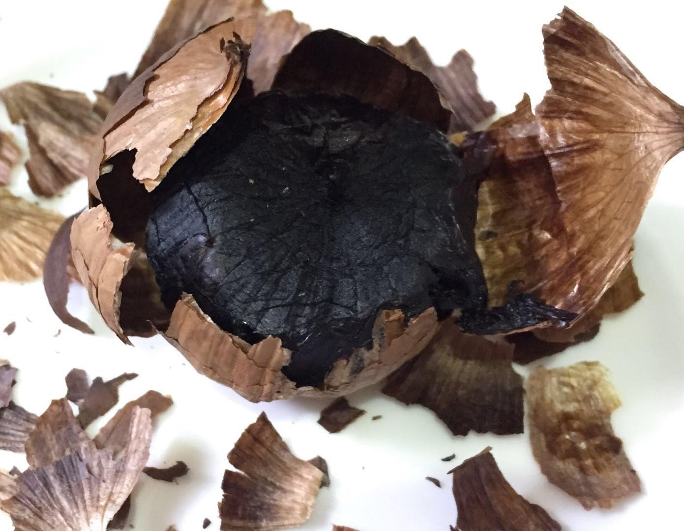 5L Black Garlic Fermenter Full Automatic Intelligent Control Garlics Maker Multi Clove Garlic Cooker FCC UL Approved