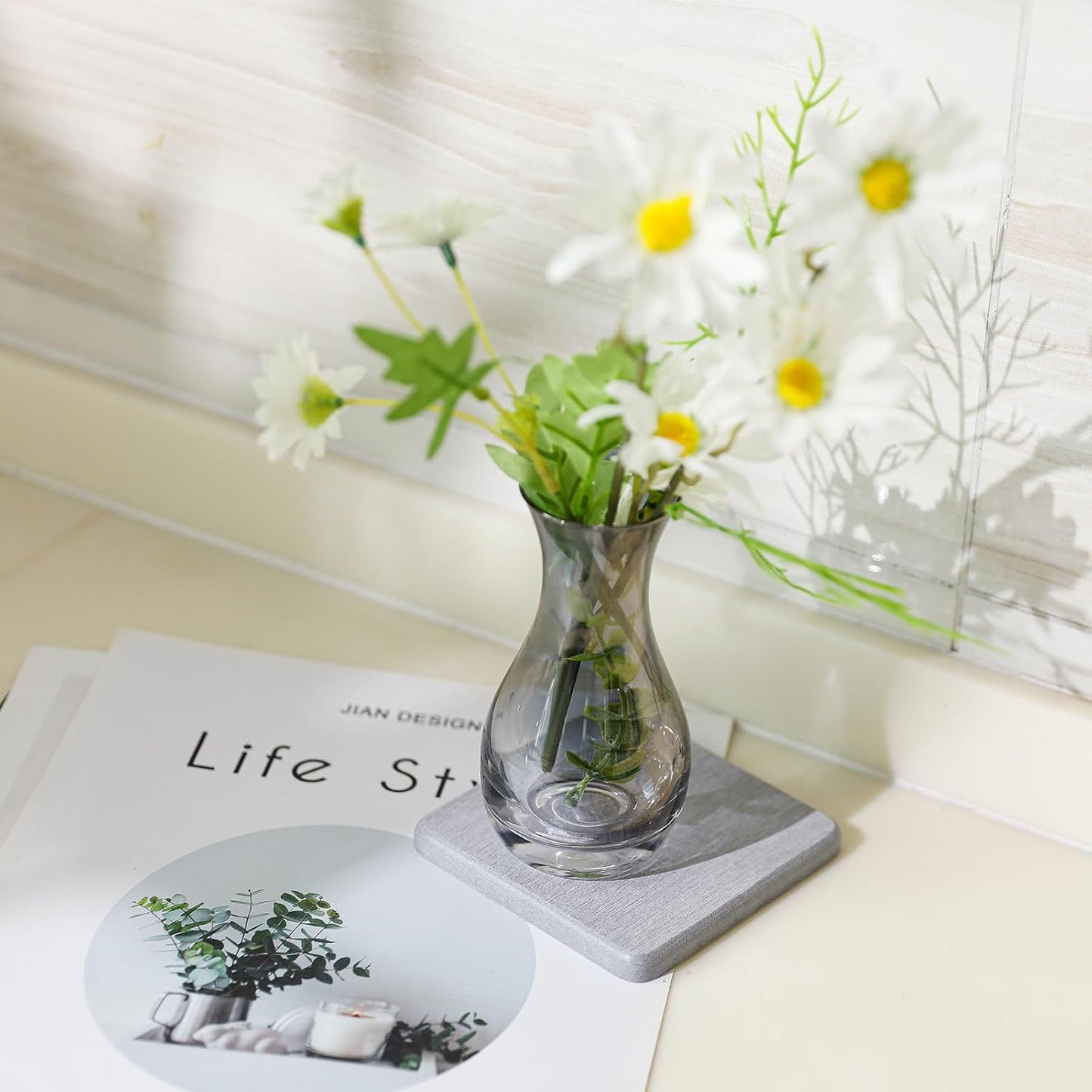 6 Pieces Water Absorbent Diatomite Coasters, Diatomaceous Earth Kitchen Soap Dish Bathroom Trays Water Absorbing Stone Tray for Sink Used for Hand Soaps Drinks Bottles