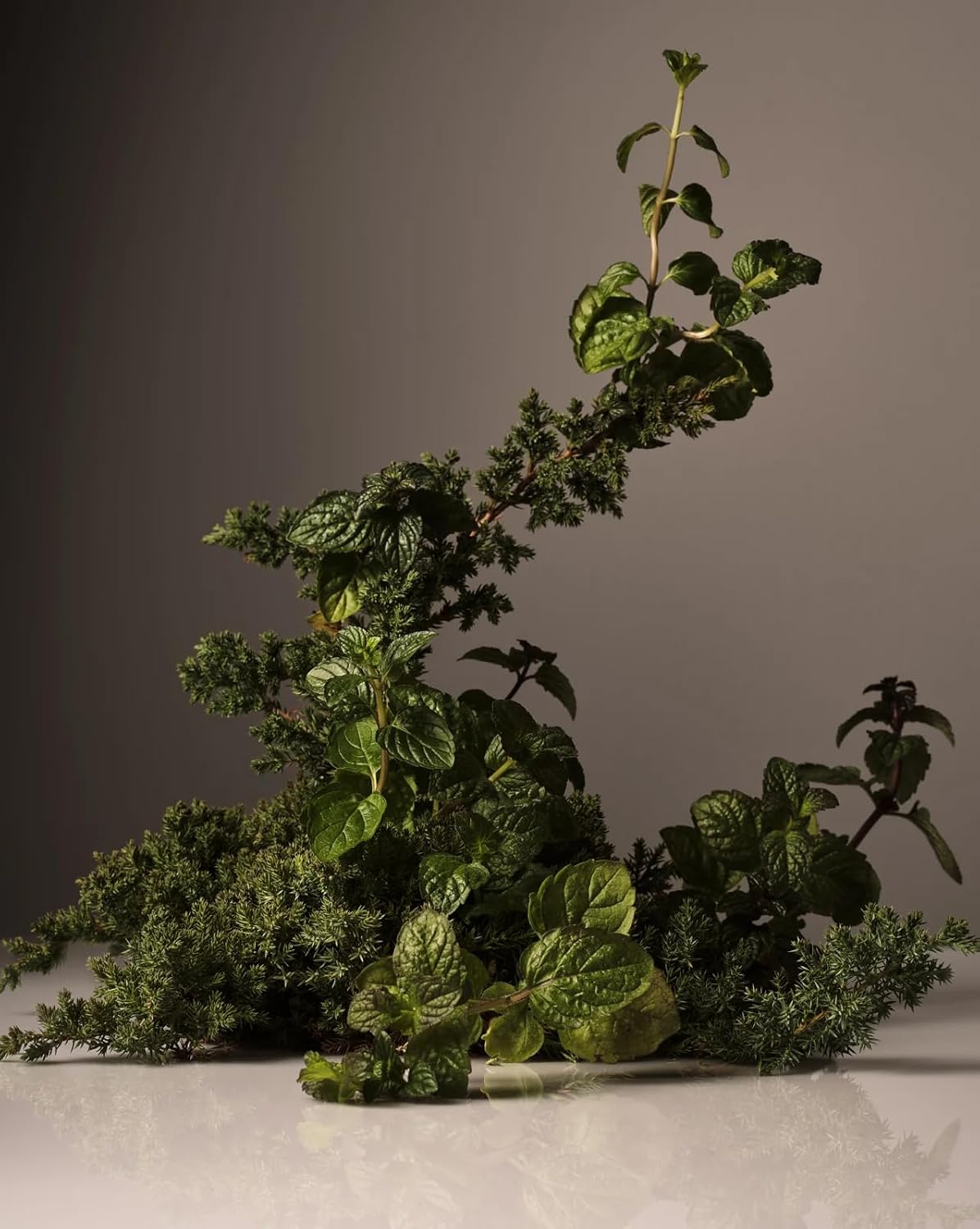 Homecourt Dish Soap, Dishwashing Liquid with Clean Ingredients, Non-Toxic & Skin-Safe, Safe for People & Pets, Cipres Mint, 16 fl oz