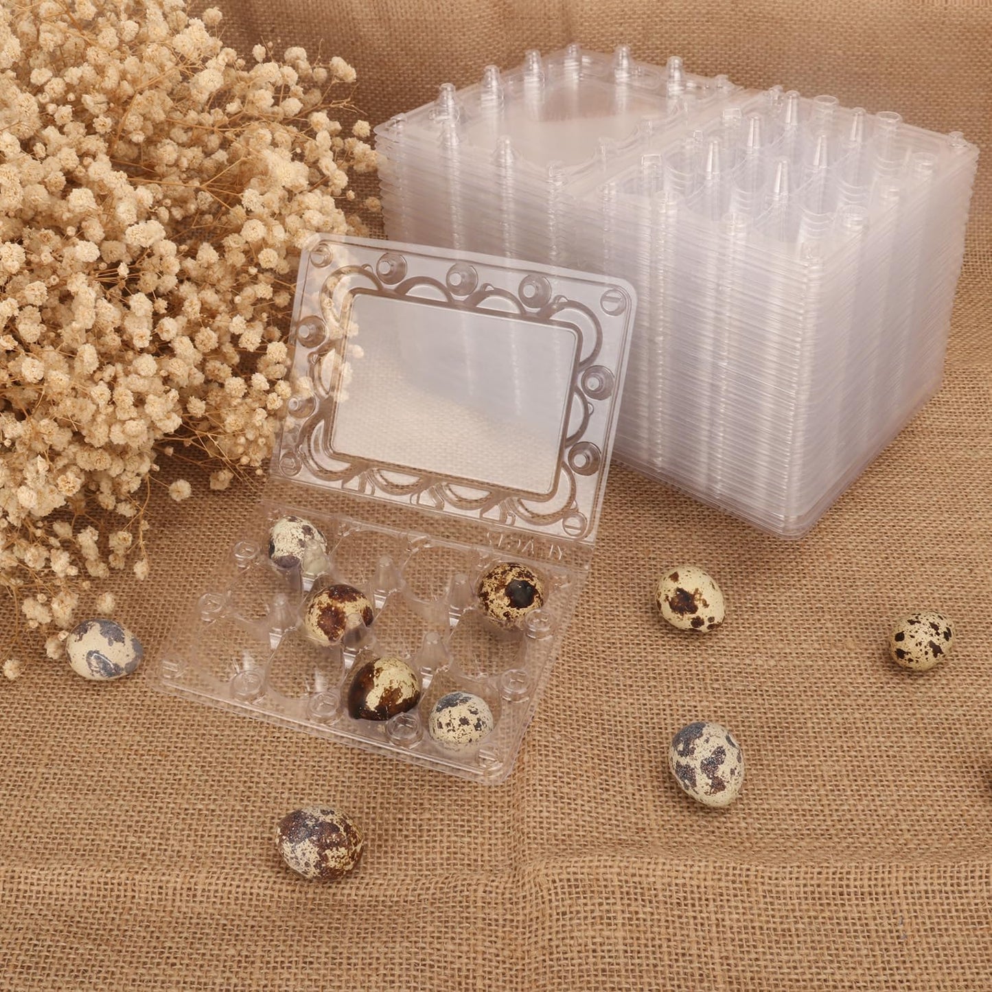 220 Pack Quail Egg Cartons, Clear Plastic Quail Egg Trays, Holds up to 12 Quail Eggs Securely - Your Ultimate Small Eggs Carton Holders for Bulk Storage and Display