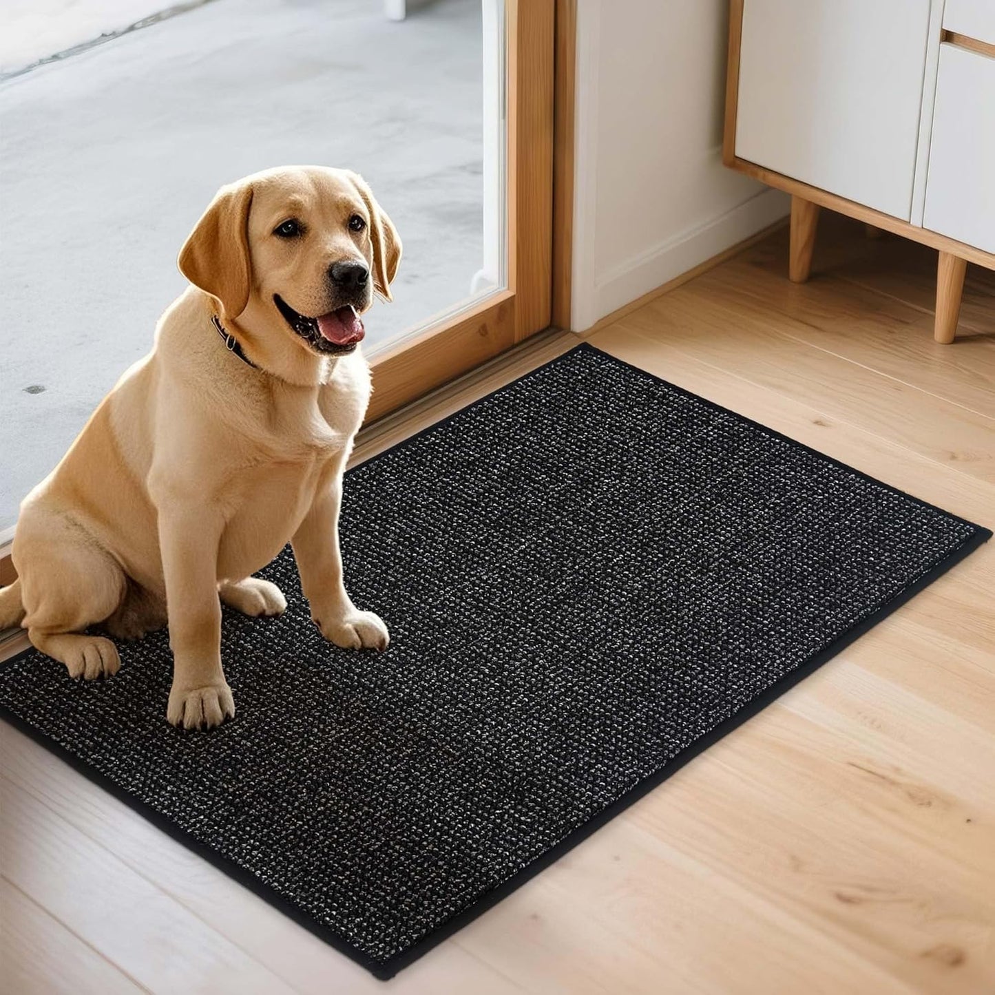 JSEI Dirt Trapper Door Mat 20"x32" Non-Slip Washable Entrance Mat, Dog Doormats, Absorbent & Fade-Resistant Floor Mats, Low Profile Welcome Mats for Entryway, Front Door, and Inside Entrance, Black