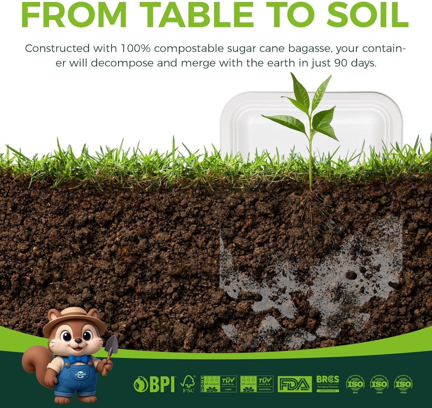 50 Pack 14-Inch Heavy-Duty Compostable Food Trays | Extra Large Disposable Platters for BBQ, Seafood Boils, Catering & Holidays | Eco-Friendly Paper Serving Trays