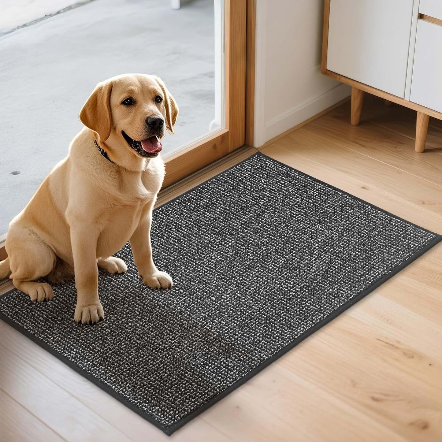 JSEI Dirt Trapper Door Mat 20"x32" Non-Slip Washable Entrance Mat, Dog Doormats, Absorbent & Fade-Resistant Floor Mats, Low Profile Welcome Mats for Entryway, Front Door, and Inside Entrance,Dark Grey