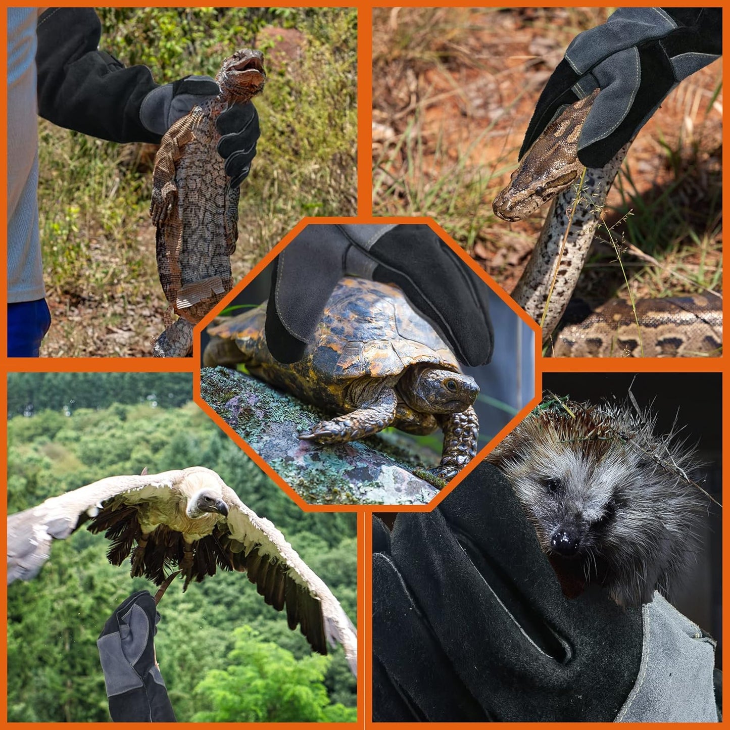 21.3 In Leather Welding Gloves for Animal Handling,Grabbing Reptile, Grooming,Trips to Vet,BBQ,Fireplace.Puncture & Scratch Resistant, Bite Proof for Cat Dog Bird Falcon Livestock Snake M Black