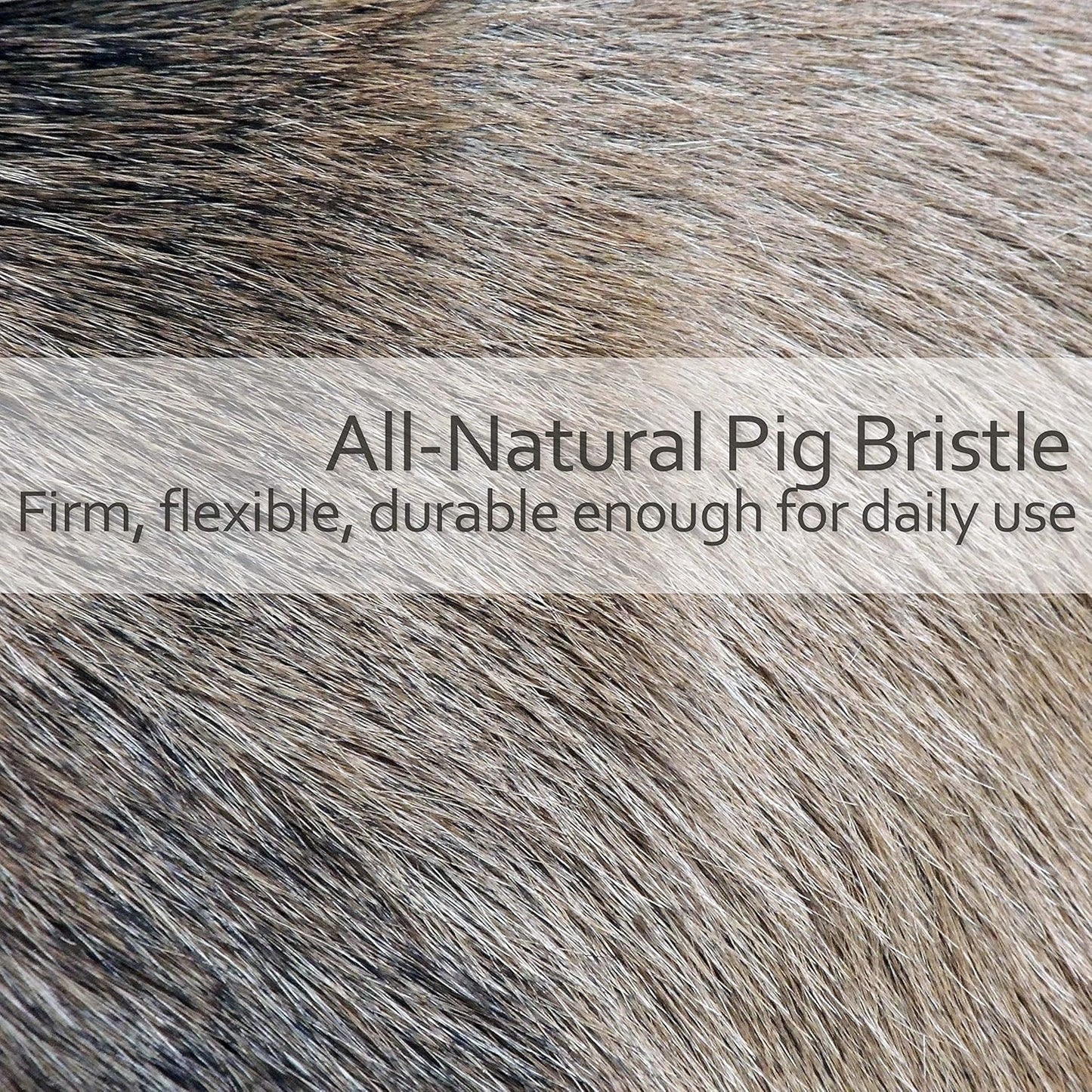 REDECKER Natural Pig Bristle Pastry Brush with Untreated Beechwood Handle for Basting, Glazing and Applying Eggwash, 7-1/4 inches - Pastry Brush for Cooking and Baking, Made in Germany